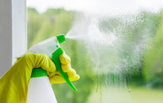green window cleaning