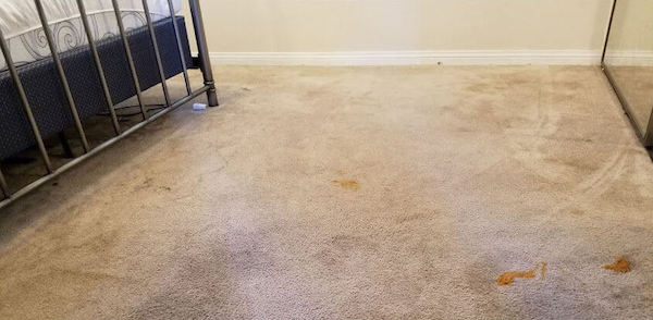 Professional Carpet Cleaning 1 Before Professional Carpet Cleaning