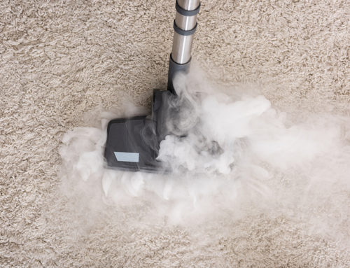The Importance of Commercial Carpet Cleaning: How Businesses Benefit From It